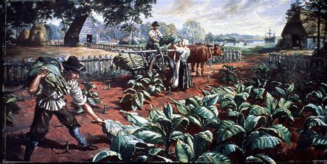 The Virginia Colony: Tobacco Cultivation and Colonial Expansion in Early America